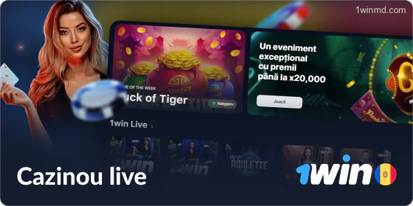 Cazinouri cu dealer live disponibile la 1win Moldova